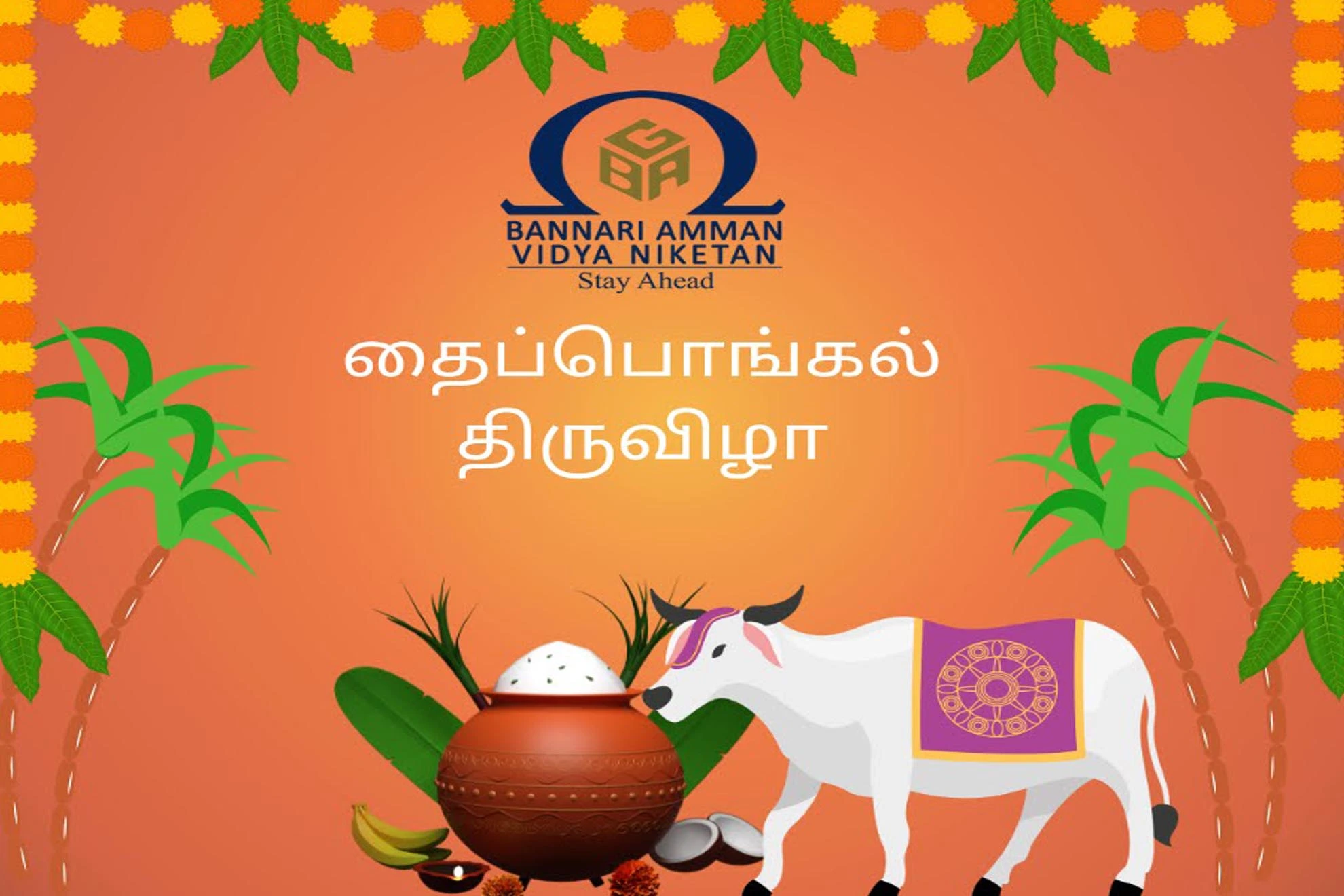 Pongal Celebrations 2025